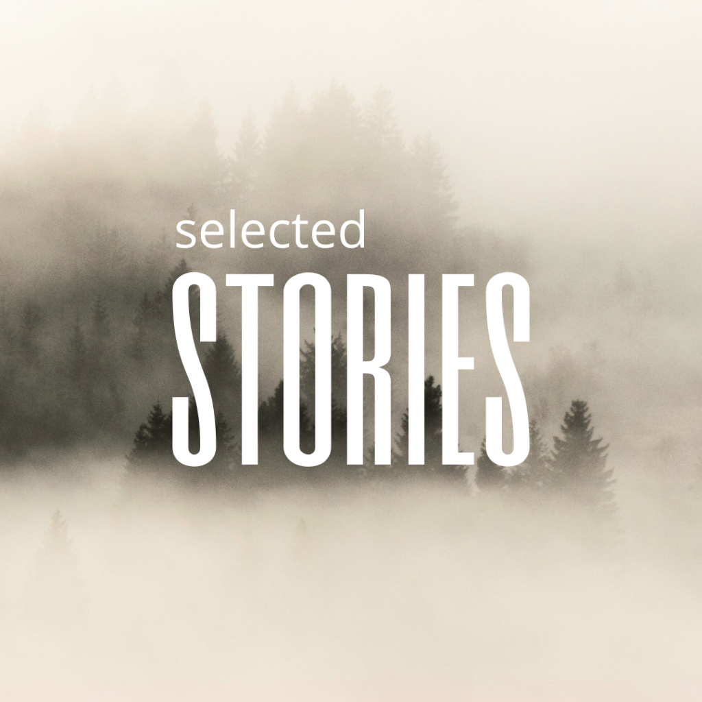 Sepia/greyscale photo of trees in mist. Overlay text in white: selected stories